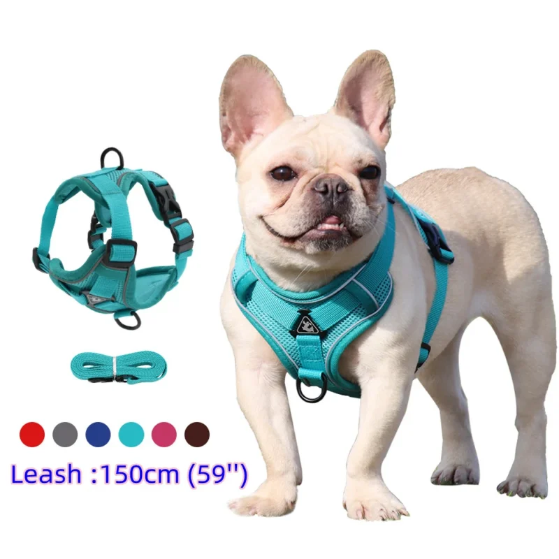 Harness For Small Dog cat French Bulldog Pug Pitbull Puppy Pectoral collar