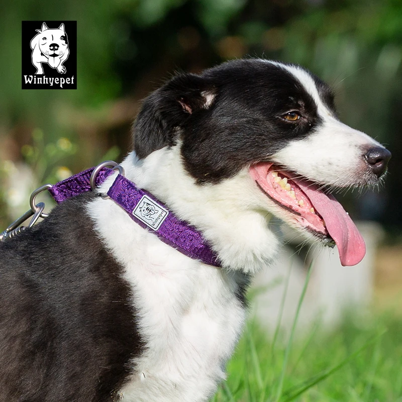 Winhyepet Pet Dog Collar P-chain No Pull Walking - Image 5