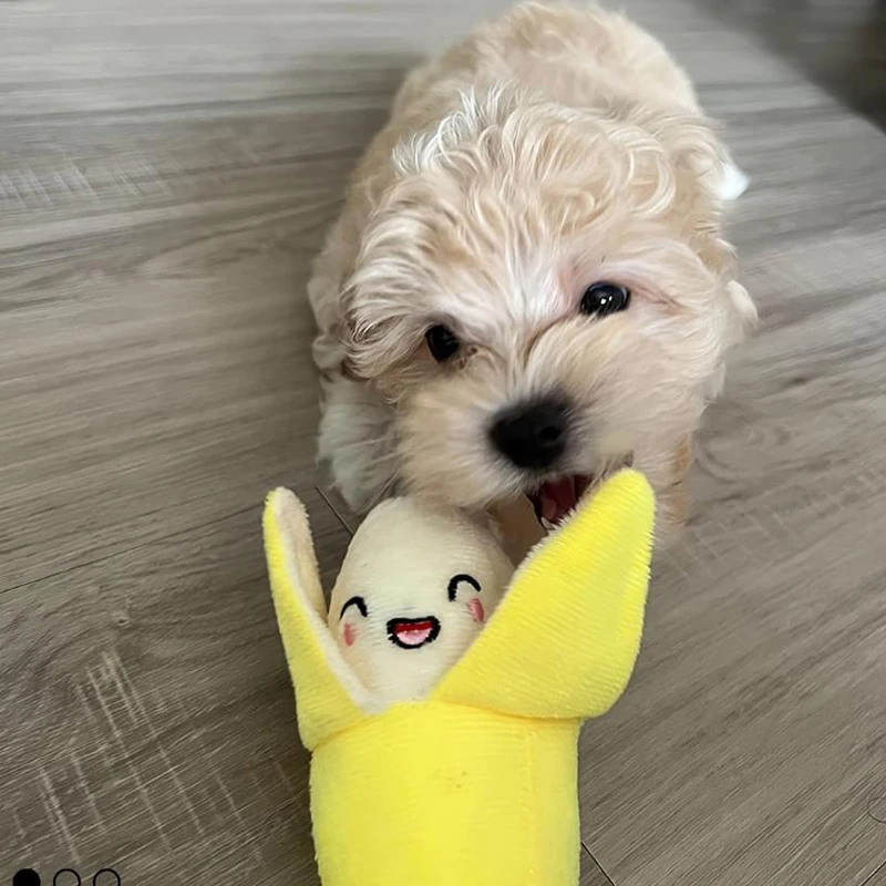 Set of 7 Fruit and Vegetable Plush Toys for Puppies - Image 5