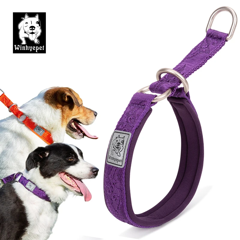 Winhyepet Pet Dog Collar P-chain No Pull Walking